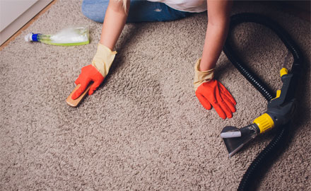 Carpet Carpet Cleaning Service in Ikeja and Ajao Estate Lagos