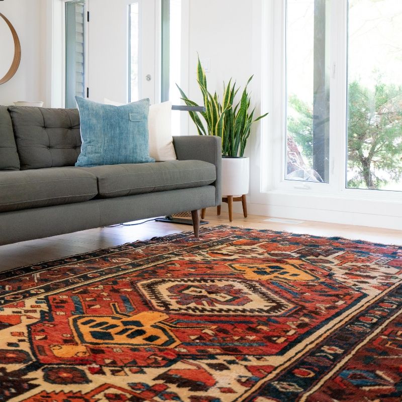 Carpet. 1jpg